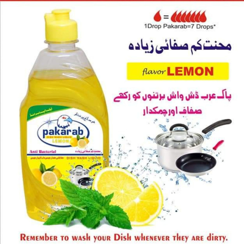 Pakarab Dish Wash Liquid 450 ML